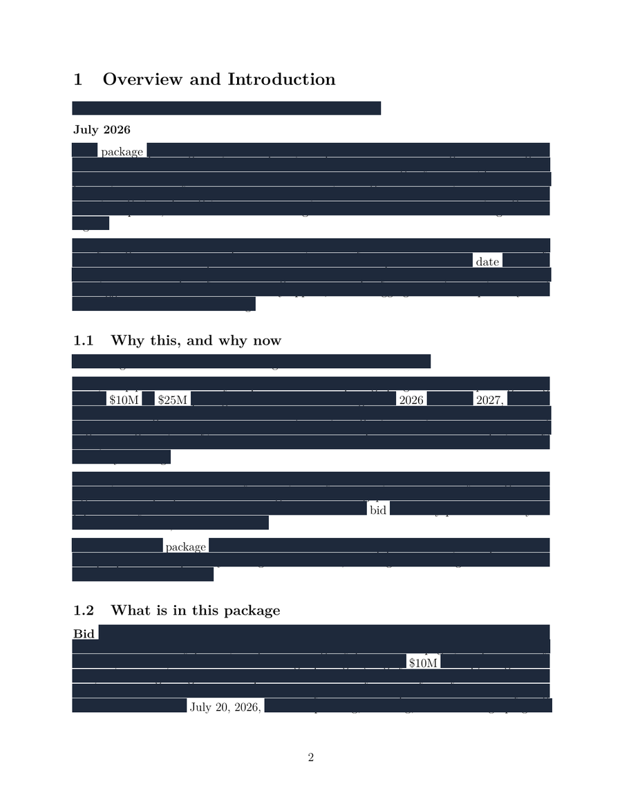 Redacted overview page from the market intelligence deliverable, headings visible, body text blacked out