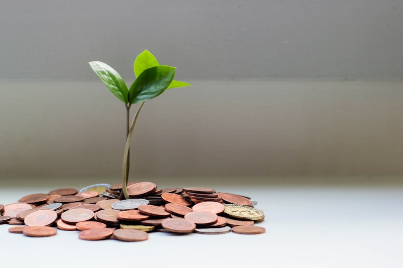 Money draining away representing wasted SEO spend